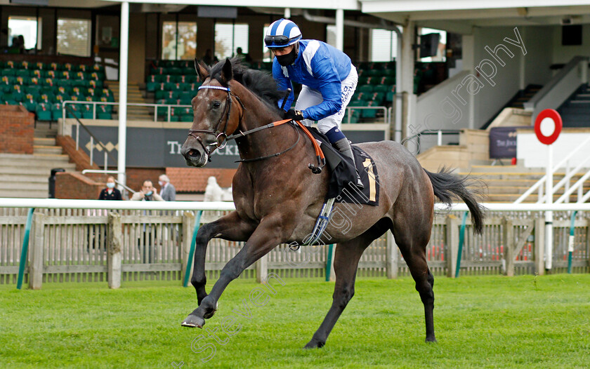 Alanmar-0001 
 ALANMAR (Jim Crowley)
Newmarket 30 Oct 2020 - Pic Steven Cargill / Racingfotos.com