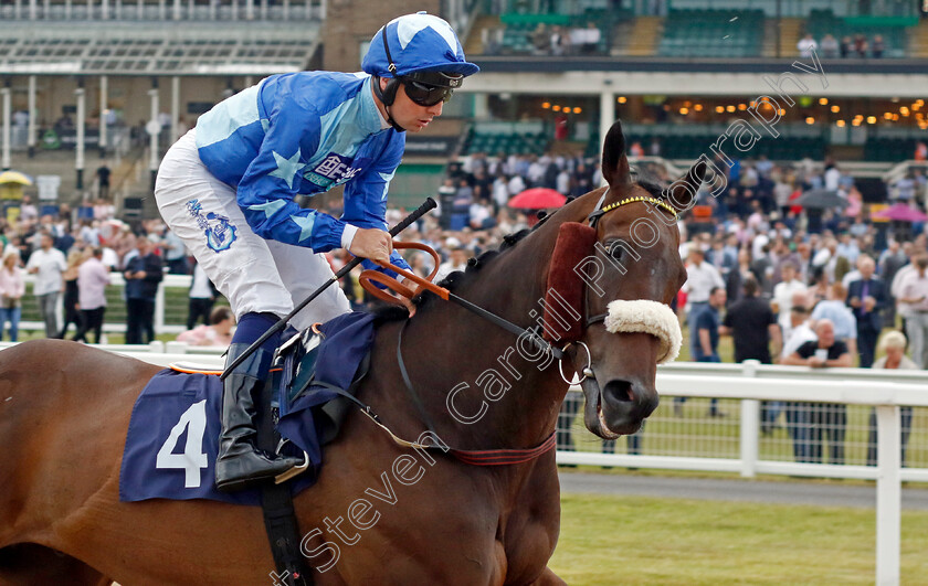 Danielsflyer 
 DANIELSFLYER (Connor Beasley)
Newcastle 24 Jun 2022 - Pic Steven Cargill / Racingfotos.com