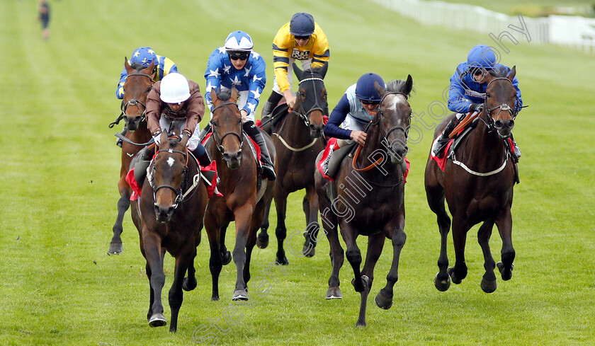 Lord-Lamington-0003 
 LORD LAMINGTON (left, Silvestre De Sousa) beats PREFONTAINE (2nd right) and TIDAL POINT (right) in The Starsports.bet Handicap
Sandown 30 May 2019 - Pic Steven Cargill / Racingfotos.com