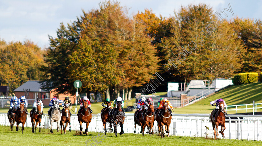 Amarillo-Star-0001 
 AMARILLO STAR (Stevie Donohoe) wins The tote.co.uk Home Of The Placepot Handicap
Goodwood 11 Oct 2020 - Pic Steven Cargill / Racingfotos.com