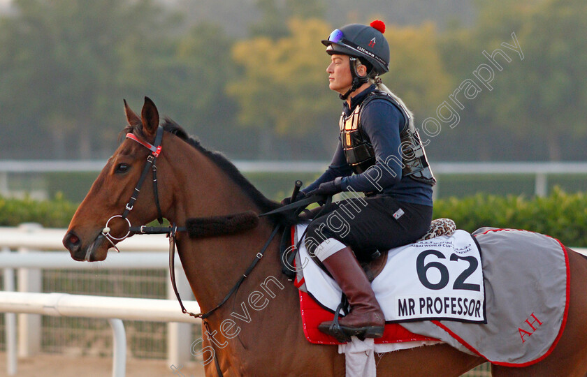 Mr-Professor-0004 
 MR PROFESSOR exercising for trainer Alice Haynes
Meydan, Dubai, 3 Feb 2022 - Pic Steven Cargill / Racingfotos.com