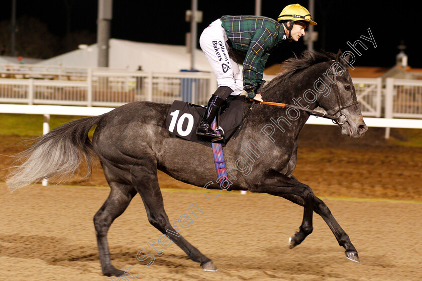 Sibilance-0001 
 SIBILANCE (Richard Kingscote) Chelmsford 7 Dec 2017 - Pic Steven Cargill / Racingfotos.com