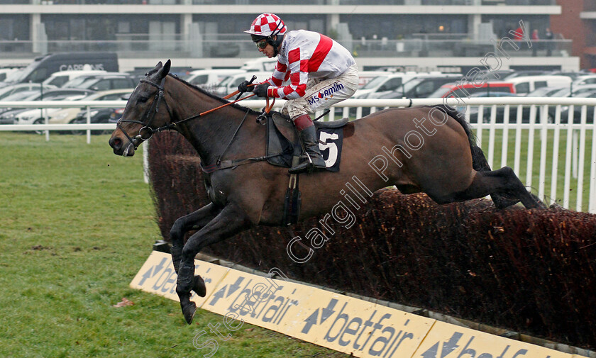 Duke-Des-Champs-0001 
 DUKE DES CHAMPS (Richard Johnson) Newbury 10 Feb 2018 - Pic Steven Cargill / Racingfotos.com