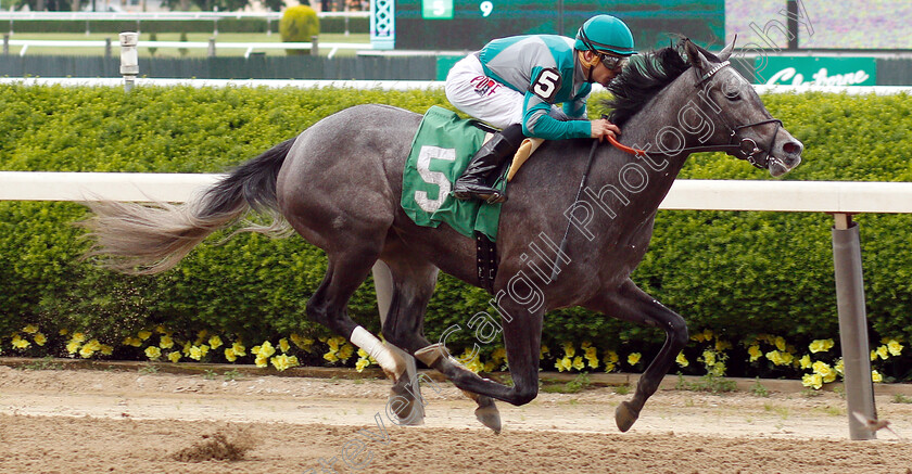 Stifle-Yourself-0003 
 STIFLE YOURSELF (Junior Alvarado) wins Maiden
Belmont Park USA 6 Jun 2019 - Pic Steven Cargill / Racingfotos.com