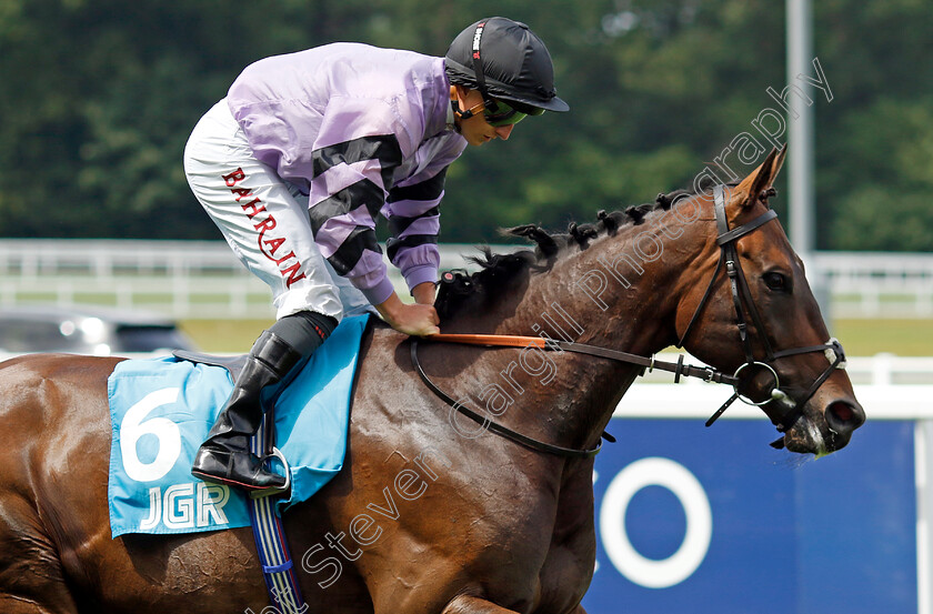 Zoran-0001 
 ZORAN (Tom Marquand)
Ascot 26 Jul 2024 - Pic Steven Cargill / Racingfotos.com