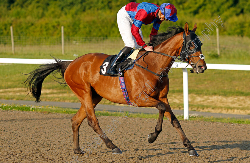 Power-Of-States 
 POWER OF STATES (James Doyle)
Chelmsford 7 Jun 2022 - Pic Steven Cargill / Racingfotos.com