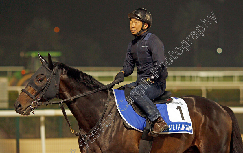 Soliste-Thunder-0001 
 SOLISTE THUNDER training for the Godolphin Mile
Meydan, Dubai, 22 Mar 2022 - Pic Steven Cargill / Racingfotos.com