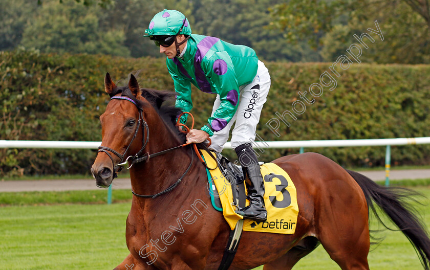 Prague-0001 
 PRAGUE (Daniel Tudhope)
Haydock 7 Sep 2024 - Pic Steven Cargill / Racingfotos.com