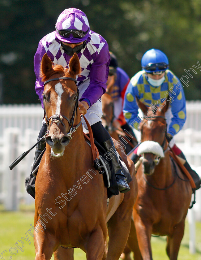 Indian-Guru-0001 
 INDIAN GURU (Sean Levey)
Newbury 16 Jul 2021 - Pic Steven Cargill / Racingfotos.com