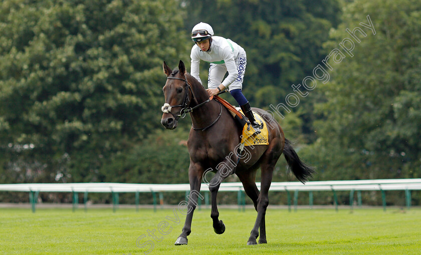 Valley-Forge-0001 
 VALLEY FORGE (David Probert)
Haydock 4 Sep 2021 - Pic Steven Cargill / Racingfotos.com