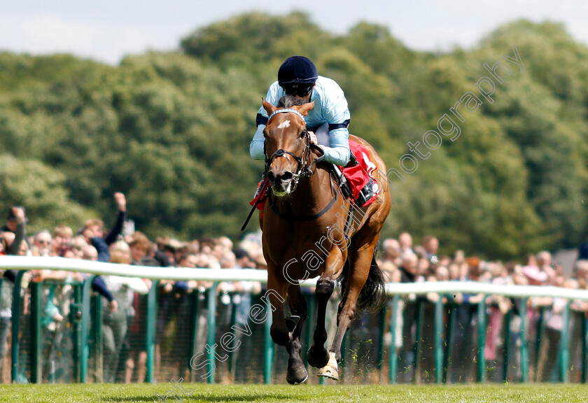 Believing-0006 
 BELIEVING (Daniel Tudhope) wins The Betfred Passionate About Sport Achilles Stakes
Haydock 8 Jun 2024 - Pic Steven Cargill / Racingfotos.com