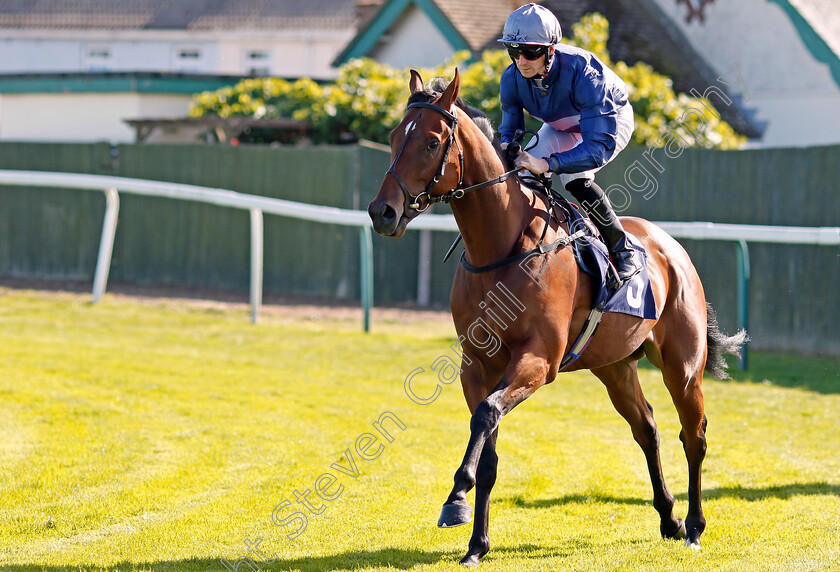 Gigi s-Beach-0001 
 GIGI'S BEACH (Jack Mitchell)
Yarmouth 18 Sep 2019 - Pic Steven Cargill / Racingfotos.com