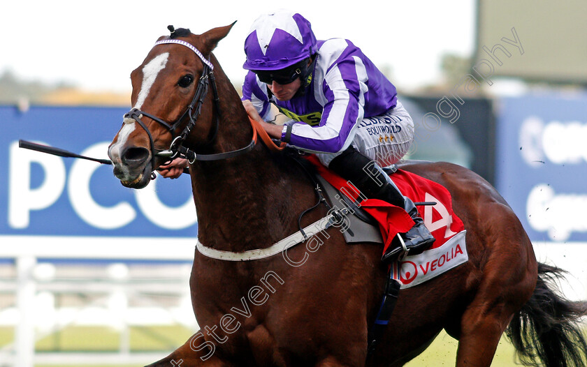 Shady-McCoy-0005 
 SHADY MCCOY (Ryan Moore) wins The Veolia Handicap Ascot 6 Oct 2017 - Pic Steven Cargill / Racingfotos.com