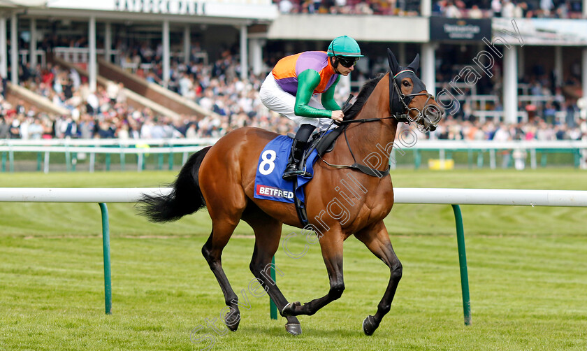 Quinault-0001 
 QUINAULT (Richard Kingscote)
Haydock 8 Jun 2024 - Pic Steven Cargill / Racingfotos.com