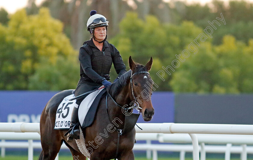 Cite-D Or-0001 
 CITE D'OR training at the Dubai World Cup Carnival
Meydan 5 Jan 2023 - Pic Steven Cargill / Racingfotos.com