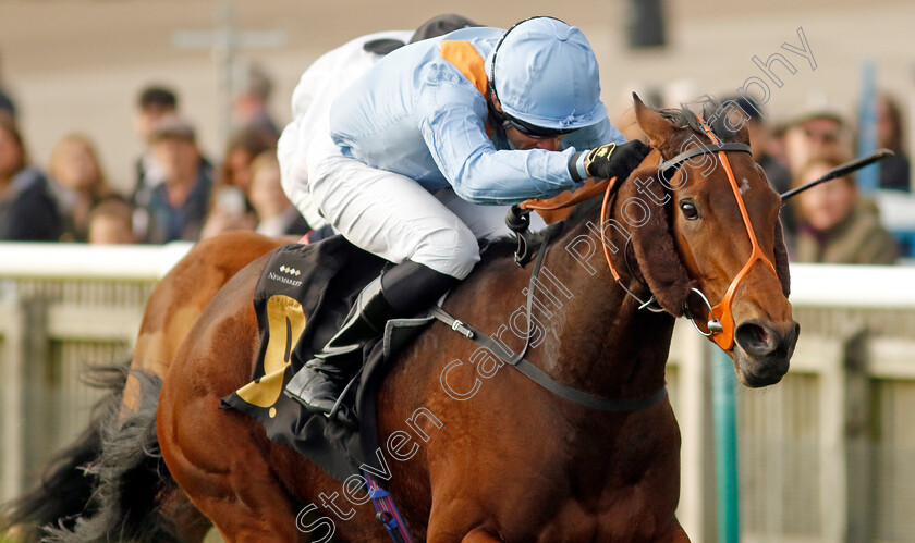 Ziggy s-Phoenix-0003 
 ZIGGY'S PHOENIX (Sean Levey) wins The My Pension Expert Fillies Handicap
Newmarket 23 Oct 2024 - Pic Steven Cargill / Racingfotos.com