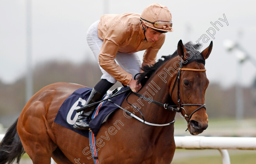 Nine-Tenths-0006 
 NINE TENTHS (William Buick) winner of The Betmgm Lady Wulfruna Stakes
Wolverhampton 9 Mar 2024 - Pic Steven Cargill / Racingfotos.com