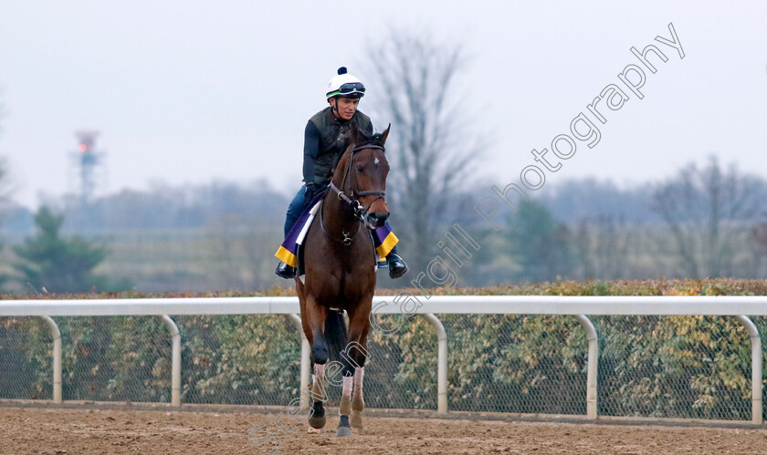 Search-Results-0001 
 SEARCH RESULTS training for the Breeders' Cup Distaff
Keeneland USA 1 Nov 2022 - Pic Steven Cargill / Racingfotos.com