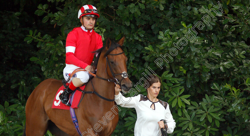 Al-Raya-0001 
 AL RAYA (Andrea Atzeni)
Sandown 5 Jul 2019 - Pic Steven Cargill / Racingfotos.com