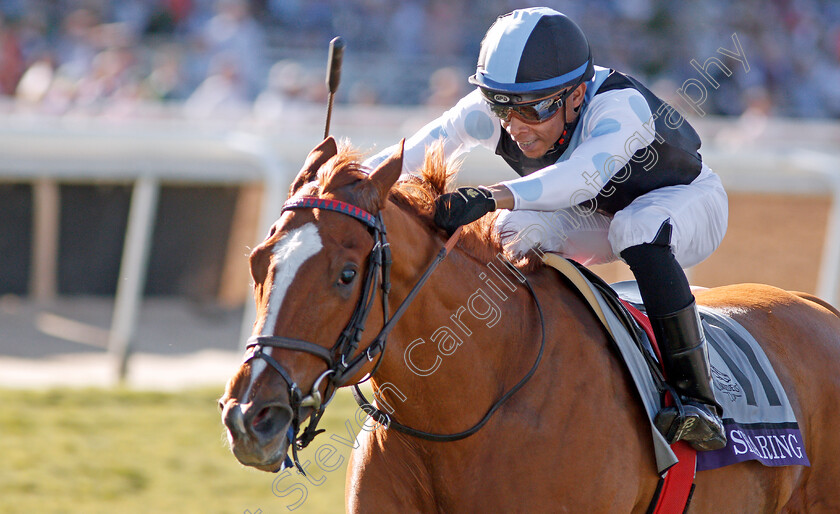 Sharing-0005 
 SHARING (Manuel Franco) wins The Breeders' Cup Juvenile Fillies Turf
Santa Anita USA 1 Nov 2019 - Pic Steven Cargill / Racingfotos.com