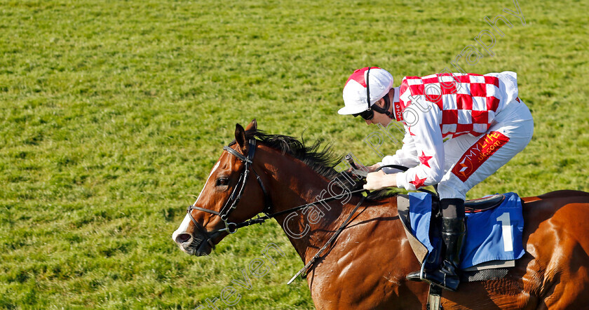 Spanish-Star-0001 
 SPANISH STAR (Rhys Clutterbuck) wins The Winners Wear Cavani Handicap
Epsom 2 Jun 2023 - pic Steven Cargill / Racingfotos.com