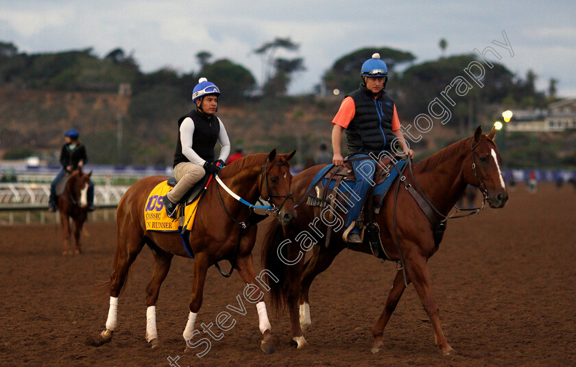 Gun-Runner-0001 
 GUN RUNNER training for The Breeders' Cup Classic at Del Mar 2 Nov 2017 - Pic Steven Cargill / Racingfotos.com