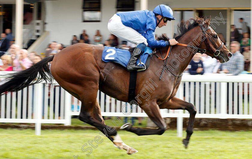 Winds-Of-Fire-0005 
 WINDS OF FIRE (William Buick) wins The Kevin Hall & Pat Boakes Memorial Handicap
Salisbury 16 Aug 2018 - Pic Steven Cargill / Racingfotos.com