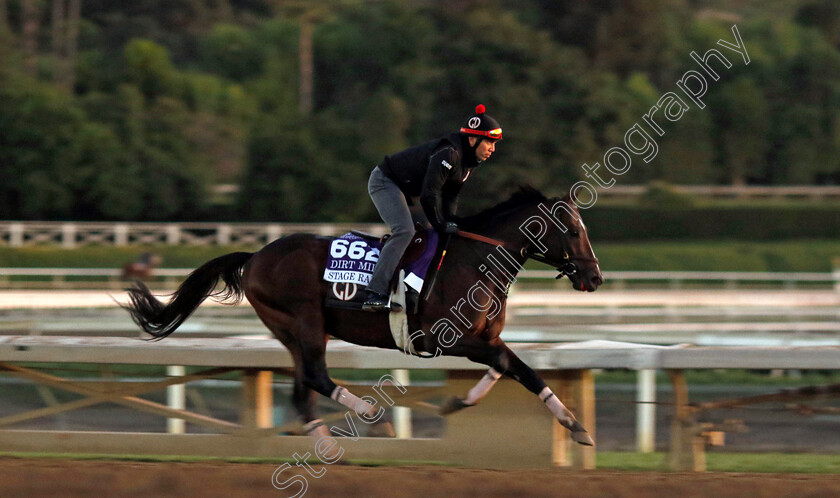 Stage-Raider-0001 
 STAGE RAIDER training for The Breeders' Cup Dirt Mile
Santa Anita USA, 30 Oct 2023 - Pic Steven Cargill / Racingfotos.com