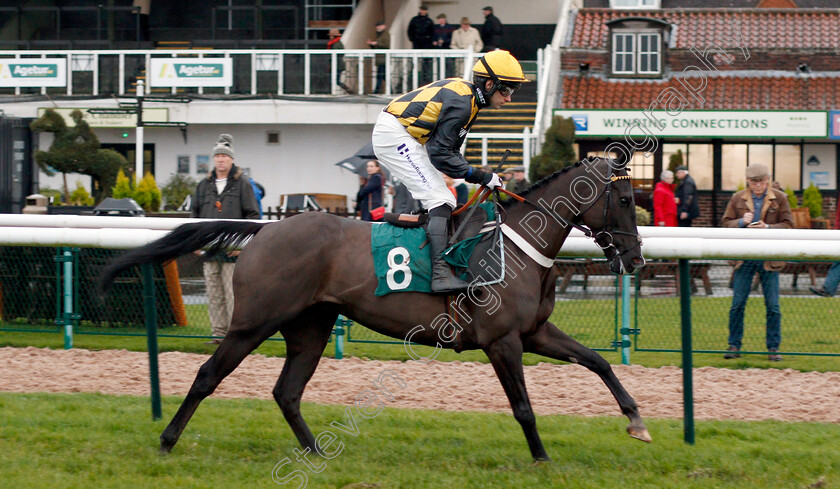 Fox s-Socks-0002 
 FOX'S SOCKS (Jeremiah McGrath)
Warwick 12 Dec 2019 - Pic Steven Cargill / Racingfotos.com