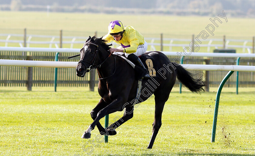 Rainbow-Heart-0002 
 RAINBOW HEART (Ryan Moore) wins The Shepherd Compello & EPG Fillies Novice Median Auction Stakes Div1
Newmarket 24 Oct 2018 - Pic Steven Cargill / Racingfotos.com