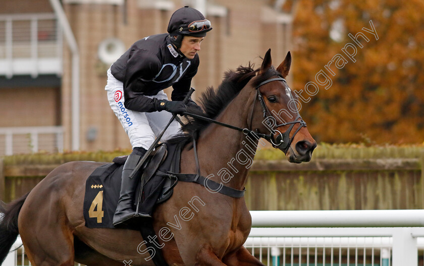 Cherie-d Am-0001 
 CHERIE D'AM (Harry Skelton)
Warwick 22 Nov 2023 - Pic Steven Cargill / Racingfotos.com