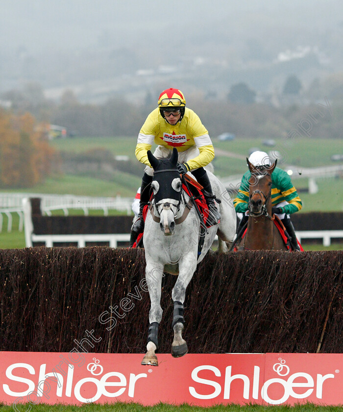 Politologue-0002 
 POLITOLOGUE (Harry Cobden)
Cheltenham 17 Nov 2019 - Pic Steven Cargill / Racingfotos.com