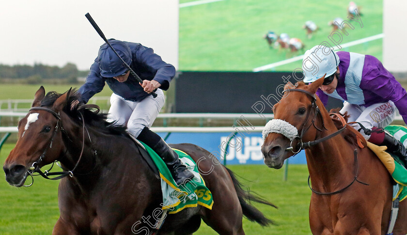 Ylang-Ylang-0001 
 YLANG YLANG (Ryan Moore) beats SEE THE FIRE (right) in The bet365 Fillies Mile
Newmarket 13 Oct 2023 - Pic Steven Cargill / Racingfotos.com