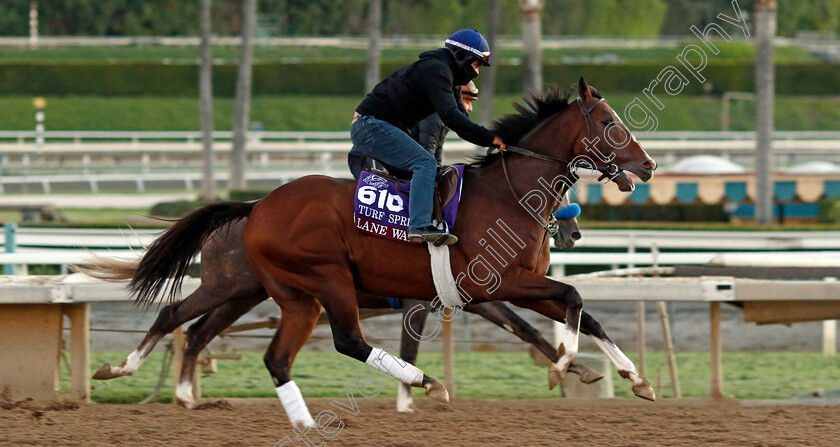 Lane-Way-0001 
 LANE WAY training for The Breeders' Cup Turf Sprint
Santa Anita USA, 30 Oct 2023 - Pic Steven Cargill / Racingfotos.com