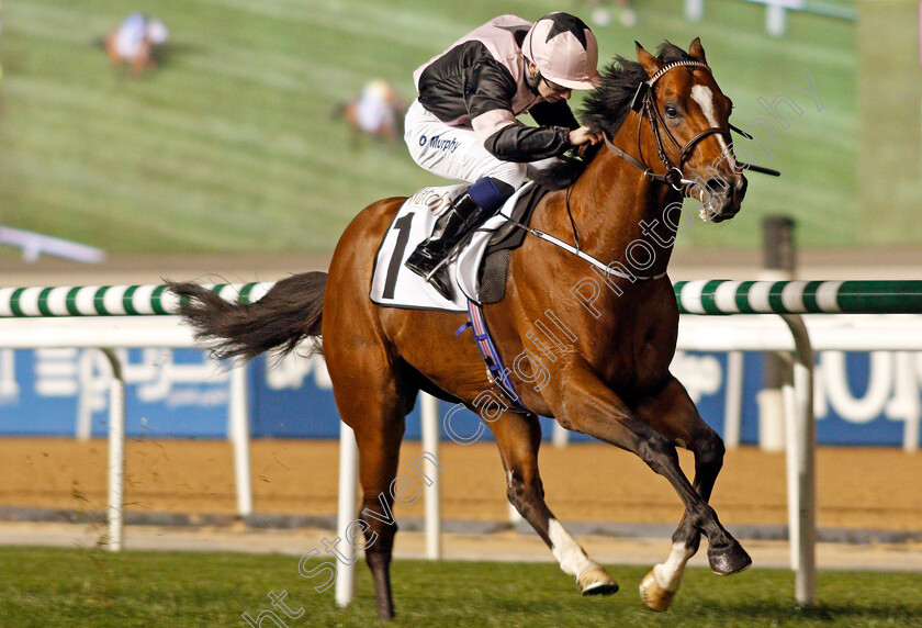 Hit-The-Bid-0003 
 HIT THE BID (Oisin Murphy) wins The Watch Time Handicap Meydan 8 Feb 2018 - Pic Steven Cargill / Racingfotos.com