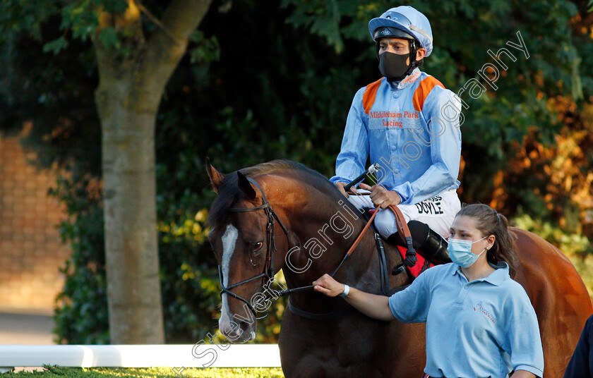 Lexington-Force-0001 
 LEXINGTON FORCE (Sean Levey)
Kempton 18 Aug 2020 - Pic Steven Cargill / Racingfotos.com