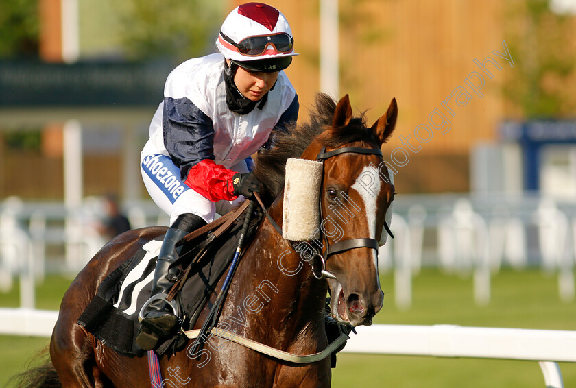 Estrela-Star-0002 
 ESTRELA STAR (Sophie Smith) winner of The Taste Newbury Amateur Jockeys Handicap
Newbury 22 Jul 2021 - Pic Steven Cargill / Racingfotos.com