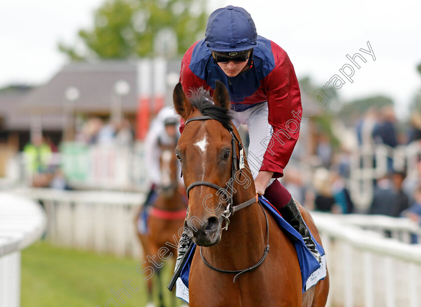 Ingra-Tor 
 INGRA TOR (Rob Hornby)
York 11 Jun 2022 - Pic Steven Cargill / Racingfotos.com