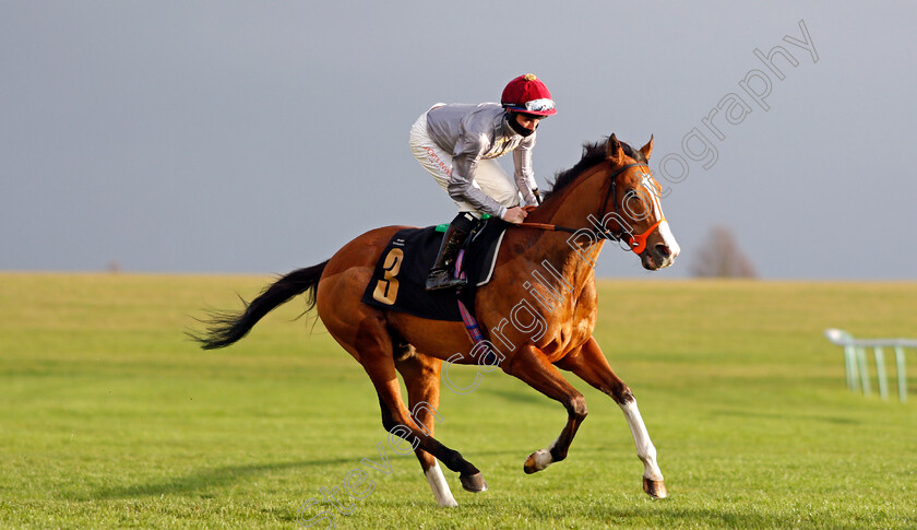 Qaysar-0002 
 QAYSAR (Rossa Ryan)
Newmarket 31 Oct 2020 - Pic Steven Cargill / Racingfotos.com