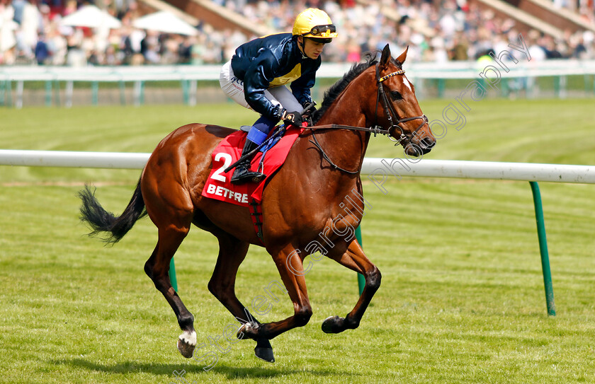 Max-Mayhem-0002 
 MAX MAYHEM (Benoit de la Sayette)
Haydock 8 Jun 2024 - Pic Steven Cargill / Racingfotos.com