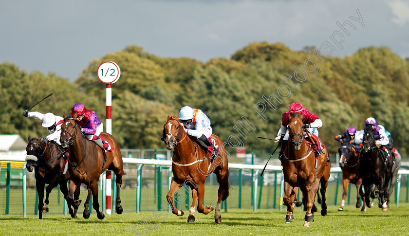 Star-Shield-0001 
 STAR SHIELD (centre, Daniel Tudhope) beats MOSTAWAA (right) and IMPERIAL COMMAND (2nd left) in The Betfair Exchange Free Bet Streak Handicap
Haydock 5 Sep 2020 - Pic Steven Cargill / Racingfotos.com