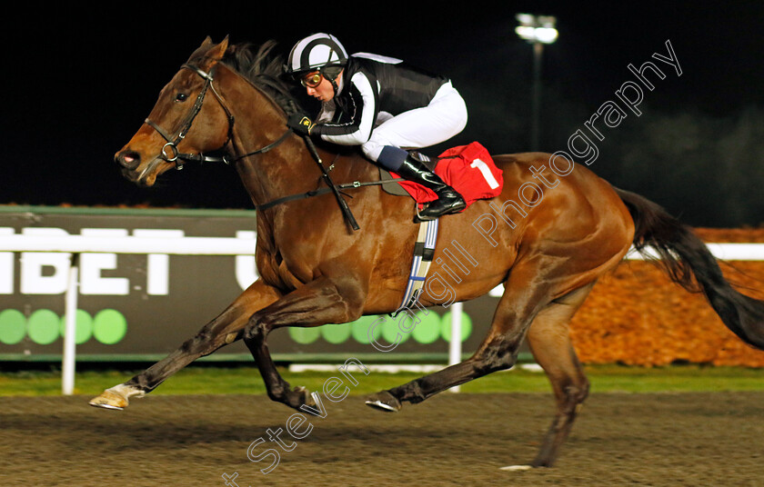 Twirling-0001 
 TWIRLING (William Buick) wins The Unibet Support Safe Gambling Fillies Novice Stakes
Kempton 6 Dec 2023 - Pic Steven Cargill / Racingfotos.com