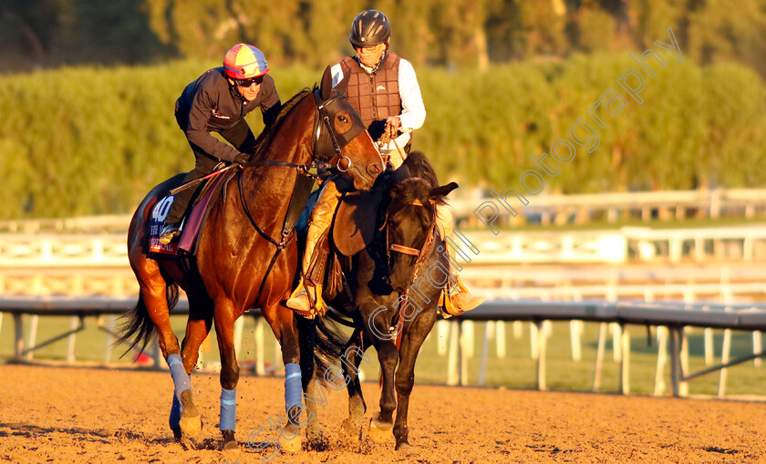 Inspiral-0002 
 INSPIRAL (Frankie Dettori) training for The Breeders' Cup Filly & Mare Turf
Santa Anita USA, 31 October 2023 - Pic Steven Cargill / Racingfotos.com