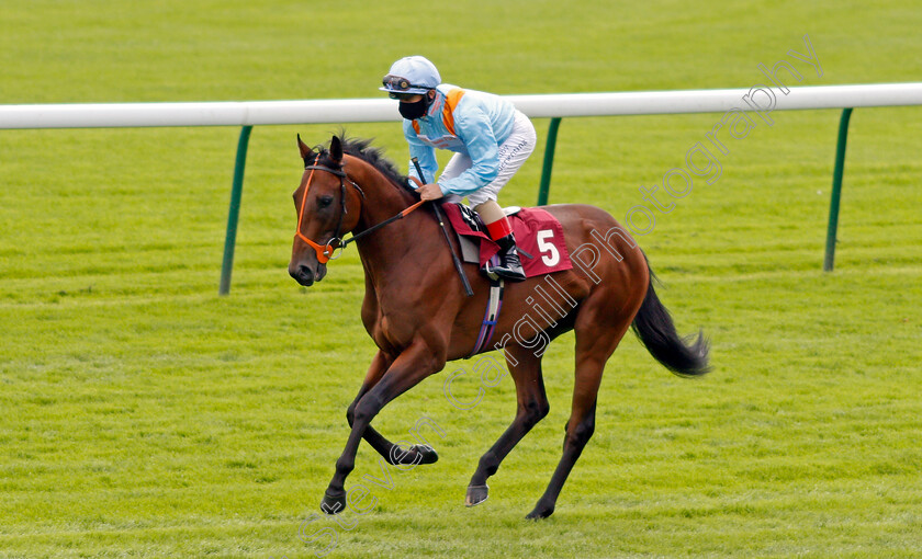 Rogue-Nation-0001 
 ROGUE NATION (Andrea Atzeni)
Haydock 3 Sep 2020 - Pic Steven Cargill / Racingfotos.com