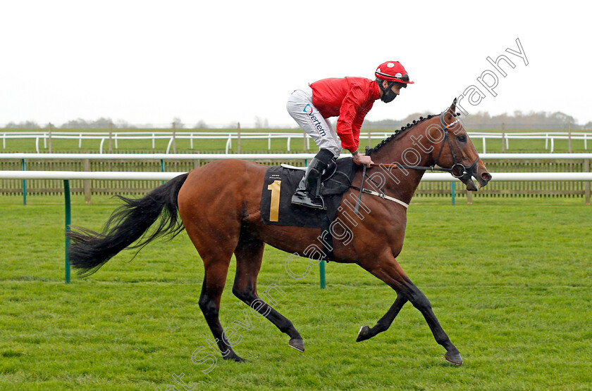 Ainsdale-0001 
 AINSDALE (Clifford Lee) winner of The Mansionbet Watch And Bet Conditions Stakes
Newmarket 30 Oct 2020 - Pic Steven Cargill / Racingfotos.com