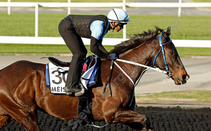 Meishar-0001 
 MEISHAR training at the Dubai World Cup Carnival
Meydan 5 Jan 2023 - Pic Steven Cargill / Racingfotos.com