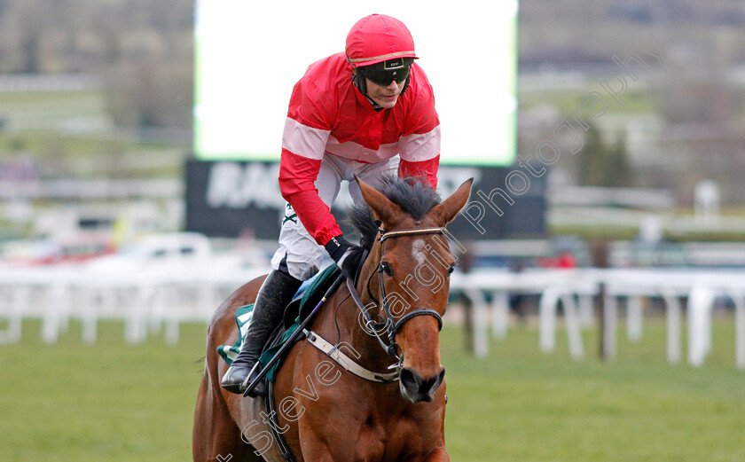 Laurina-0005 
 LAURINA (Paul Townend) wins The Trull House Stud Mares Novices Hurdle Cheltenham 15 Mar 2018 - Pic Steven Cargill / Racingfotos.com