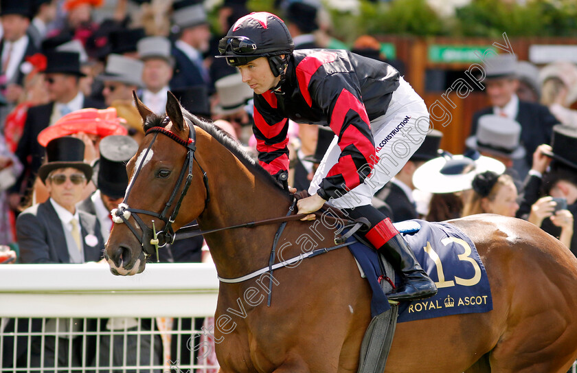 Peregrine-Falcon-0001 
 PEREGRINE FALCON (Colin Keane)
Royal Ascot 21 Jun 2024 - Pic Steven Cargill / Racingfotos.com