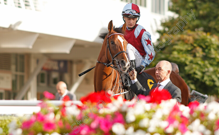 Oribi-0002 
 ORIBI (Cieren Fallon)
Kempton 3 Sep 2019 - Pic Steven Cargill / Racingfotos.com