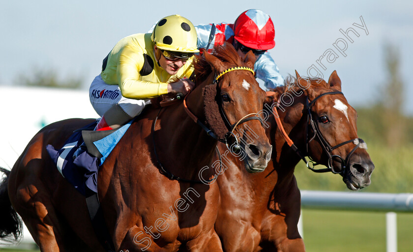 Mount-Logan-0006 
 MOUNT LOGAN (left, Andrea Atzeni) beats RED VERDON (right) in The Sports ID Strength In Sport Stakes Doncaster 13 Sep 2017 - pic Steven Cargill / Racingfotos.com